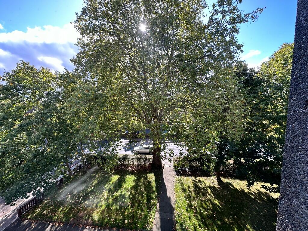 Communal Garden