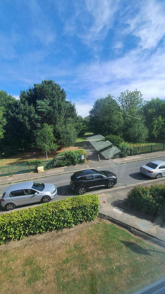 VIEW OF PARK