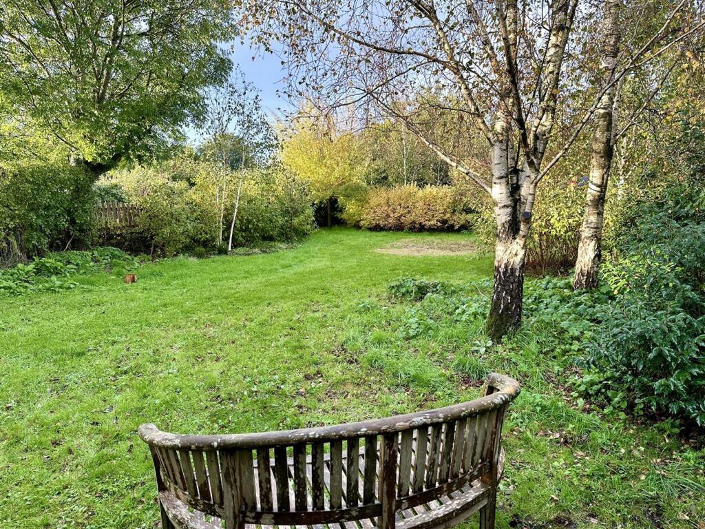 Garden 1.JPG