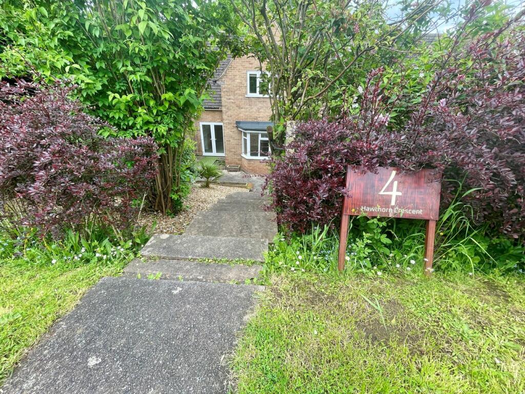 Rear Aspect