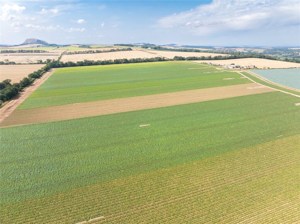 Lot 1 - Field 5