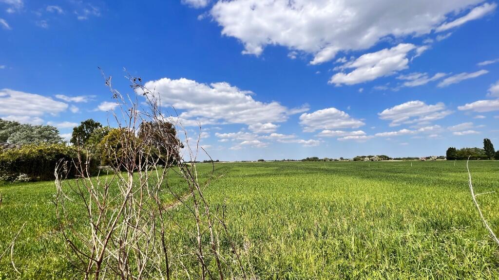 View Over The Fens