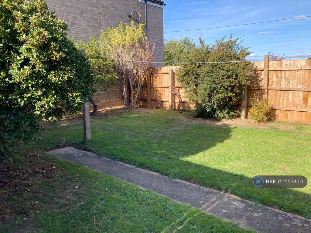 Back Garden