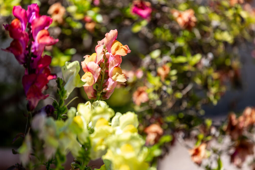 5F8A3046-Enhanced-NR