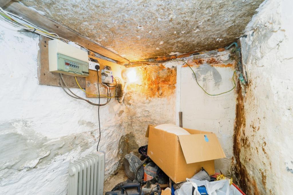 Cellar