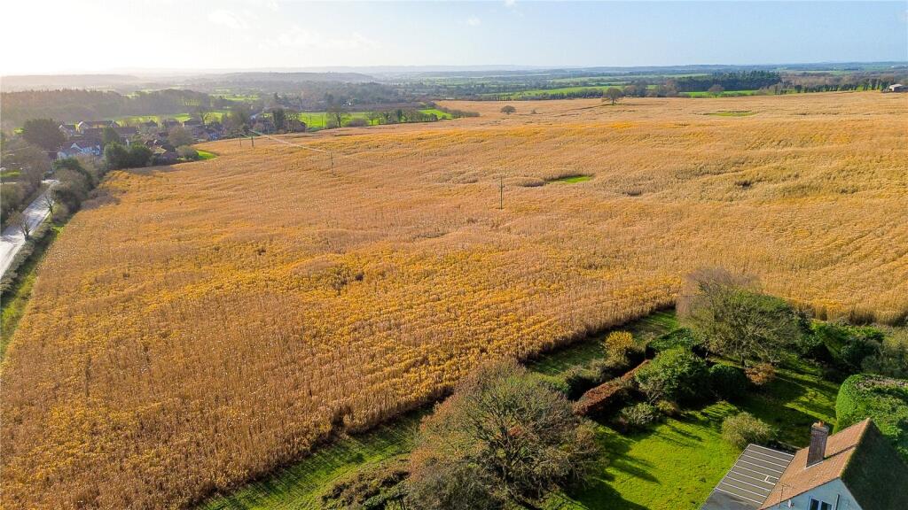 Fields