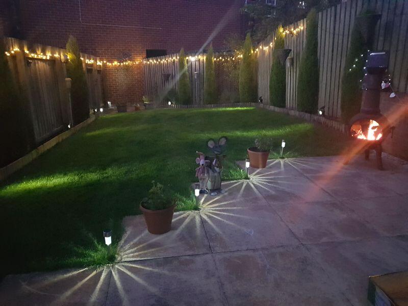 Garden in Summertime 