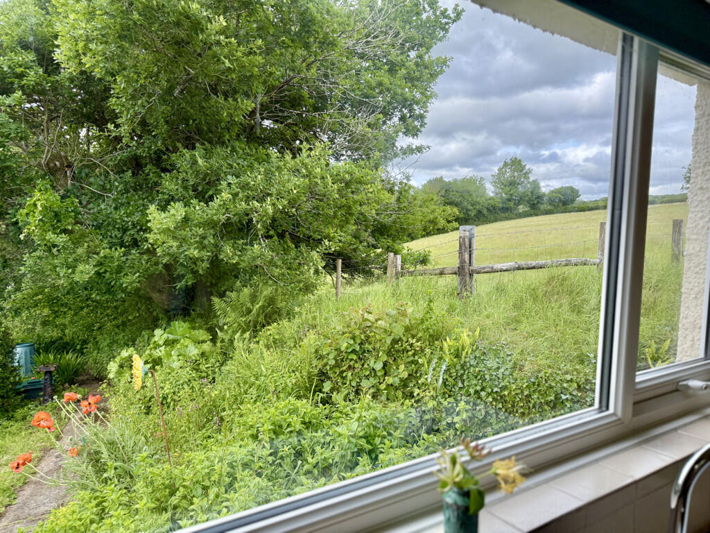 View from Kitchen Window