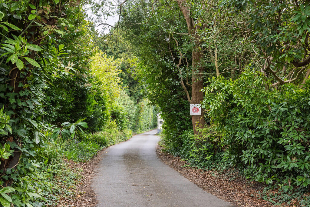 MClayton_2504-8-C...