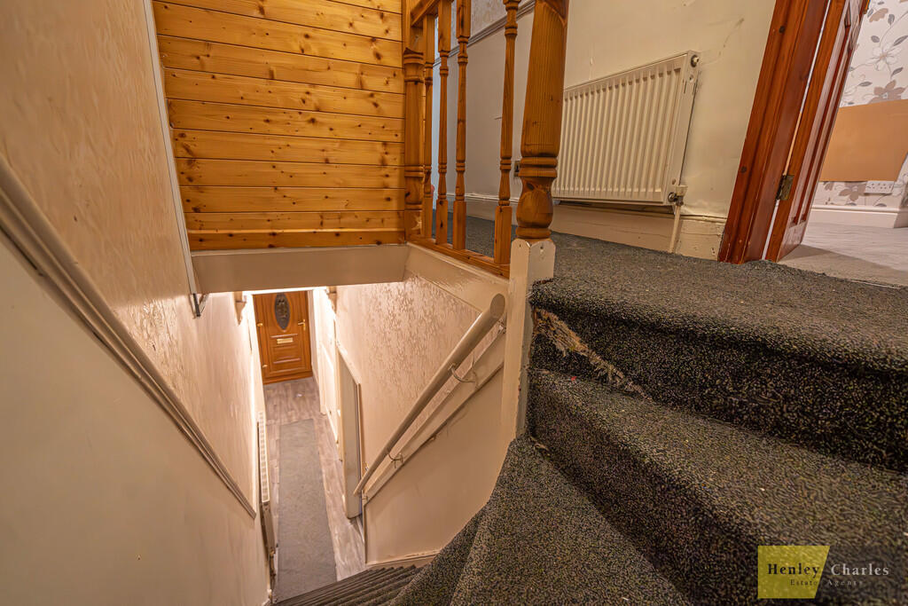 20241112-DSC01275...