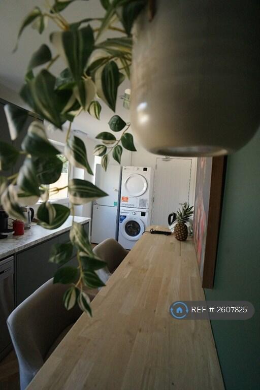 Professional Kitchen 