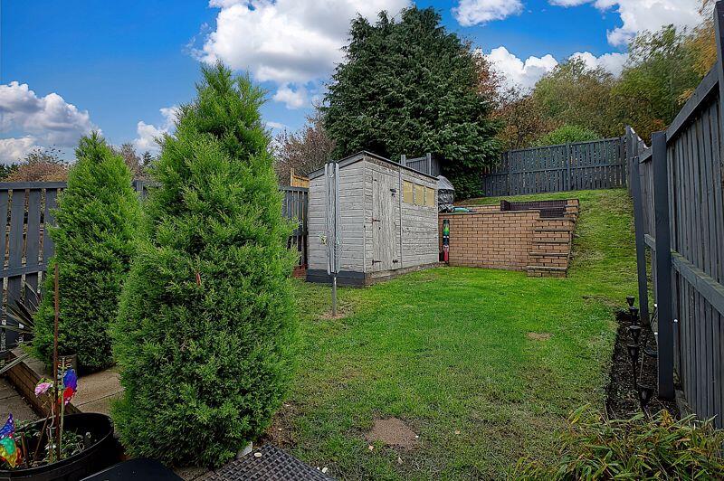 Back Garden