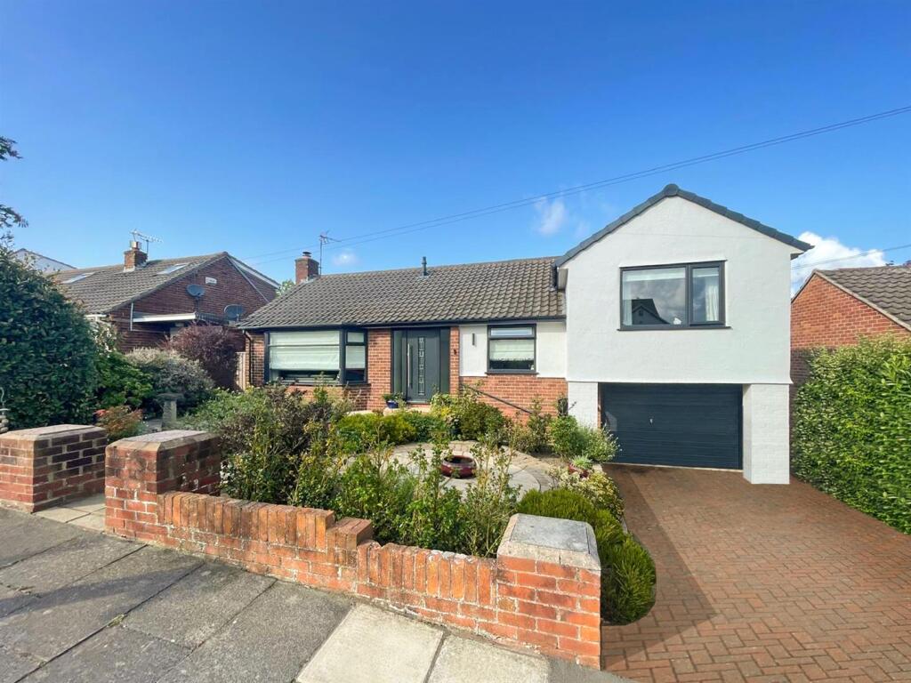 9b37dfd5-2254-4796-aad8-d2cd31e1d11e 2.JPG