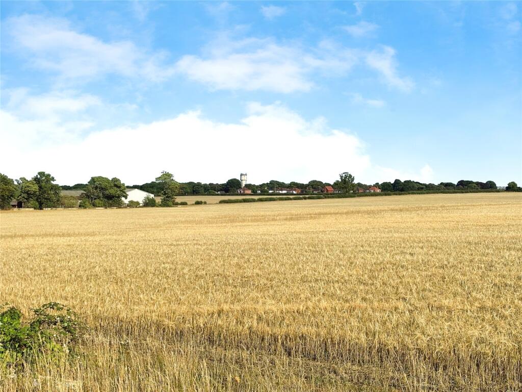 View Over Fields