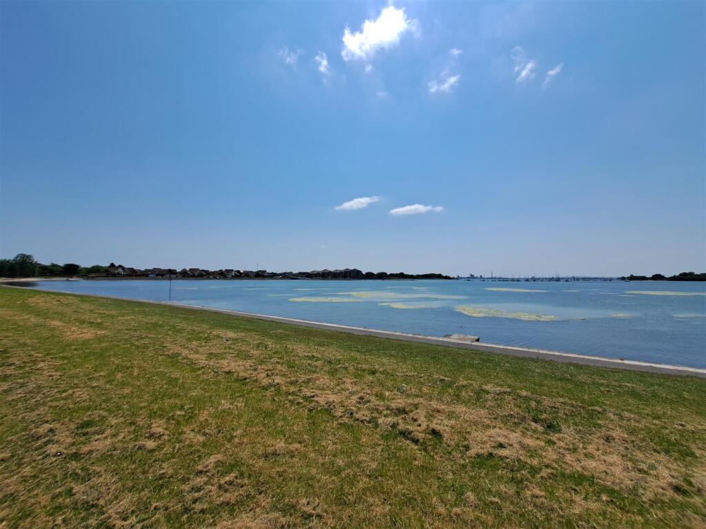 Shoreline and Harbour
