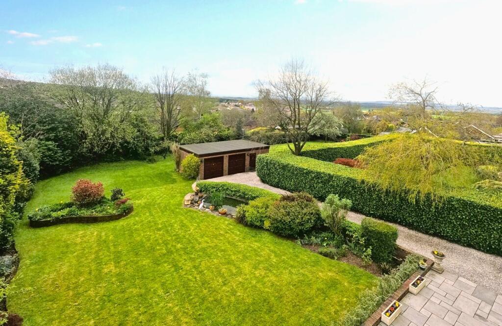 garden