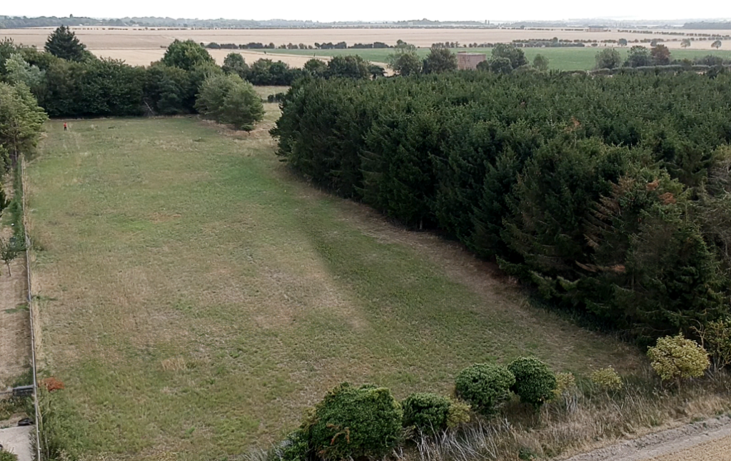 Site View