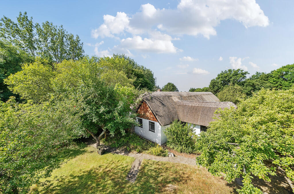 1318536-5-68624ff...