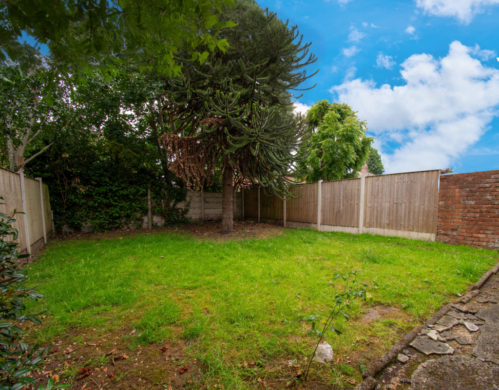 Untitled (5200 x 3900 px) (5200 x 3450 px) (4)