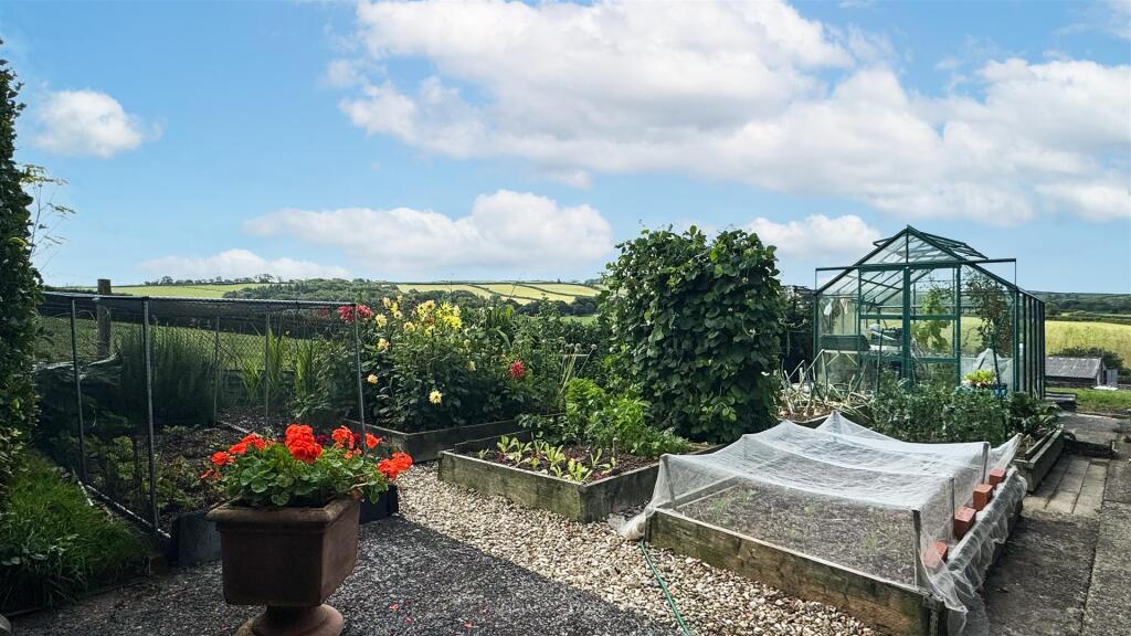 Garden 6.jpg