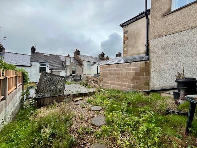 Garden T202509221419.jpg