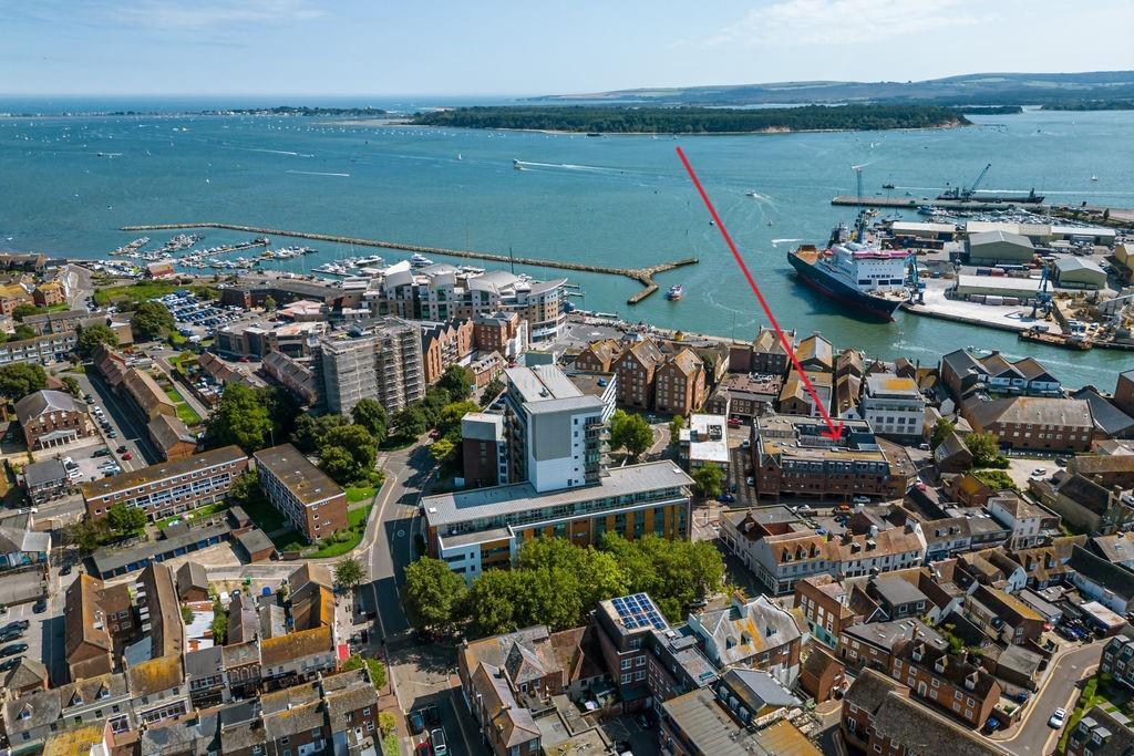 Arial Copy The Seeds .jpg