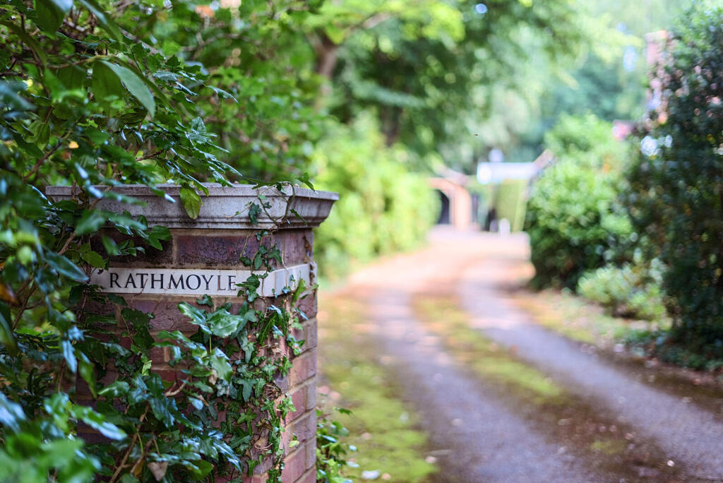 1318671-13-687a4d...