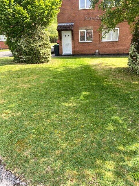 Picture No. 07
