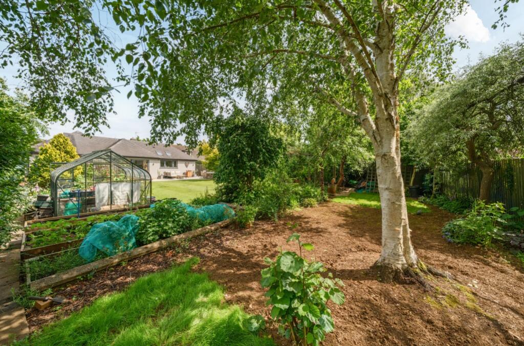 1305672-4-6849f76ce7f70