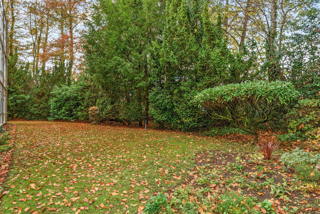 Communal Grounds