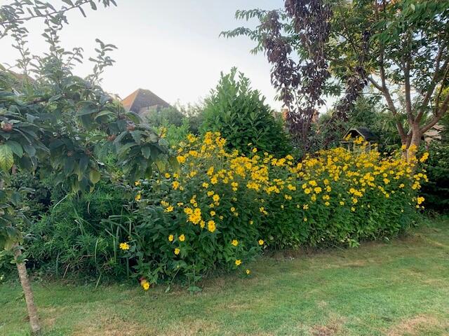 Picture 23