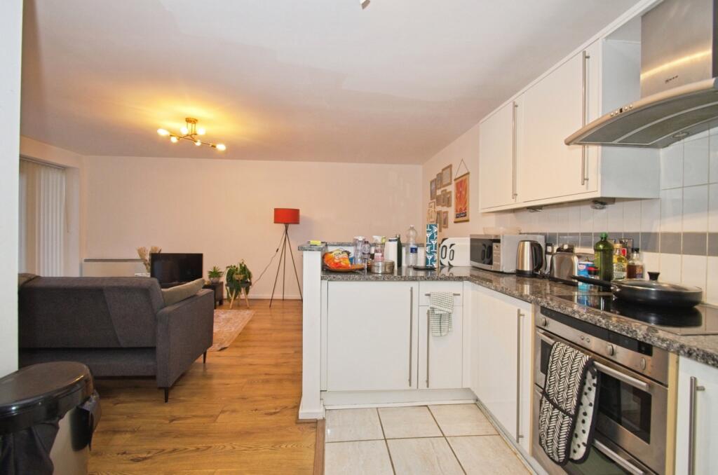 Living/Kitchen Area