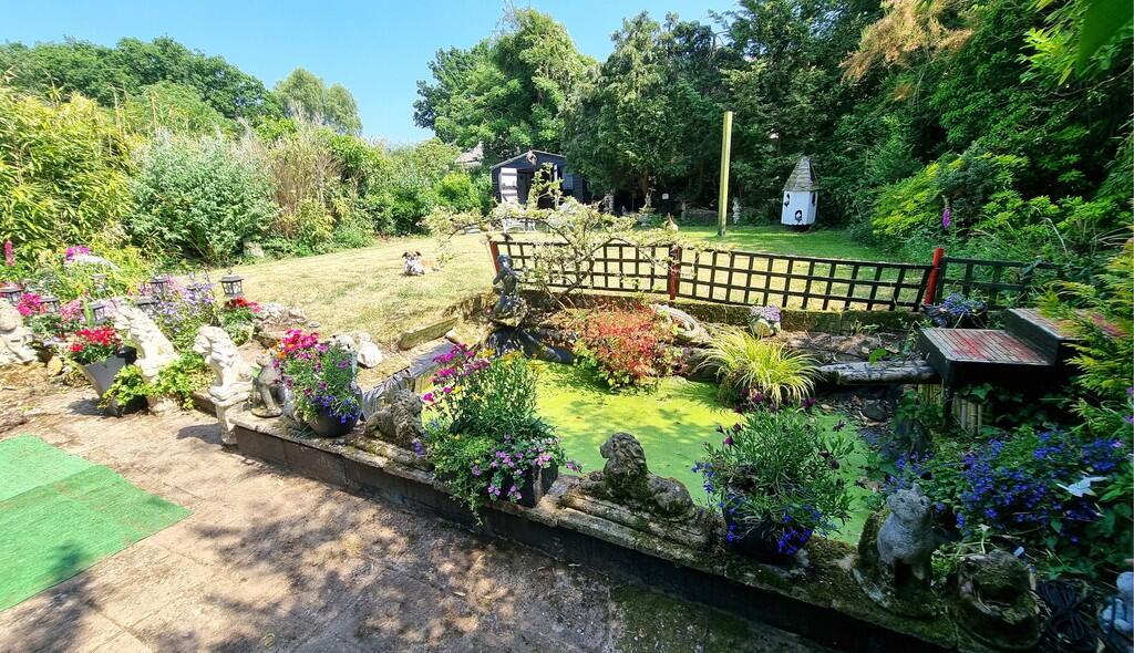 pond