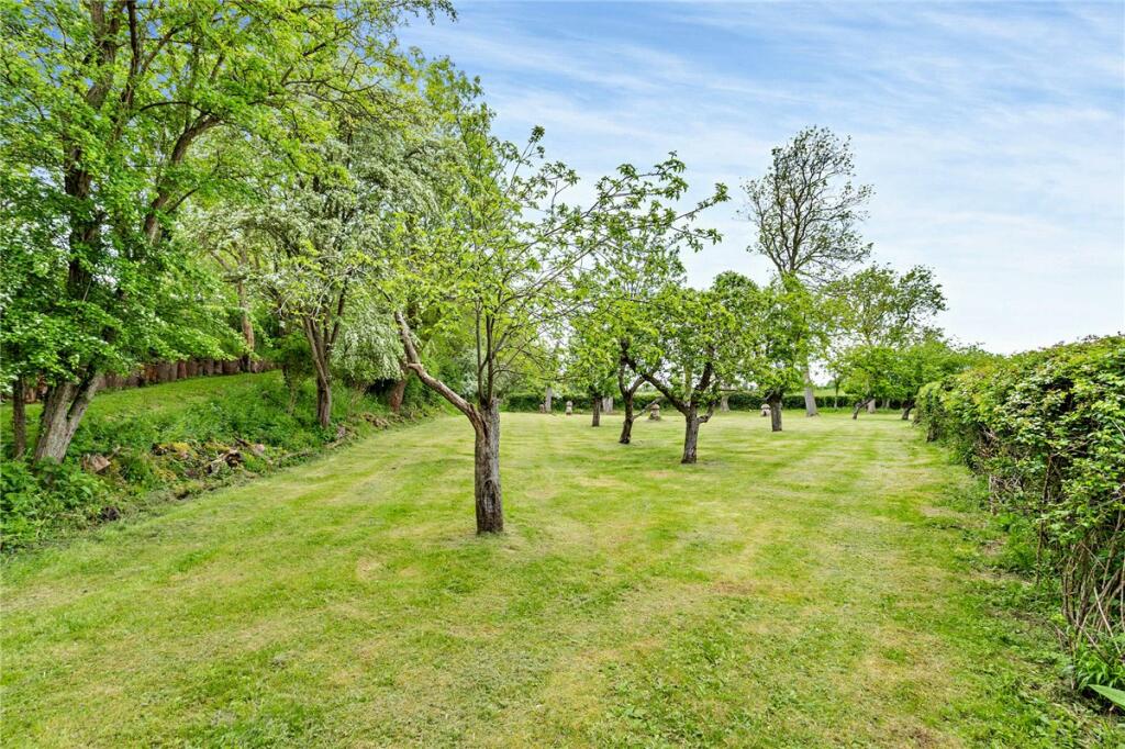 Orchard