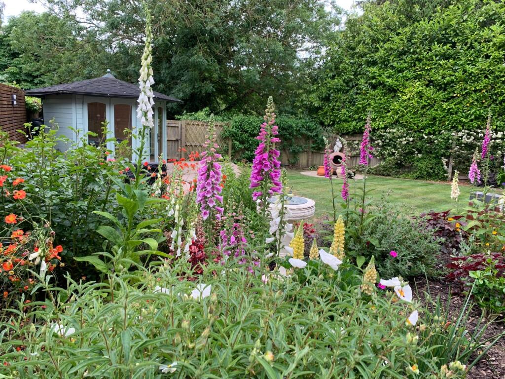 whatsappimage20250217at43823pm1