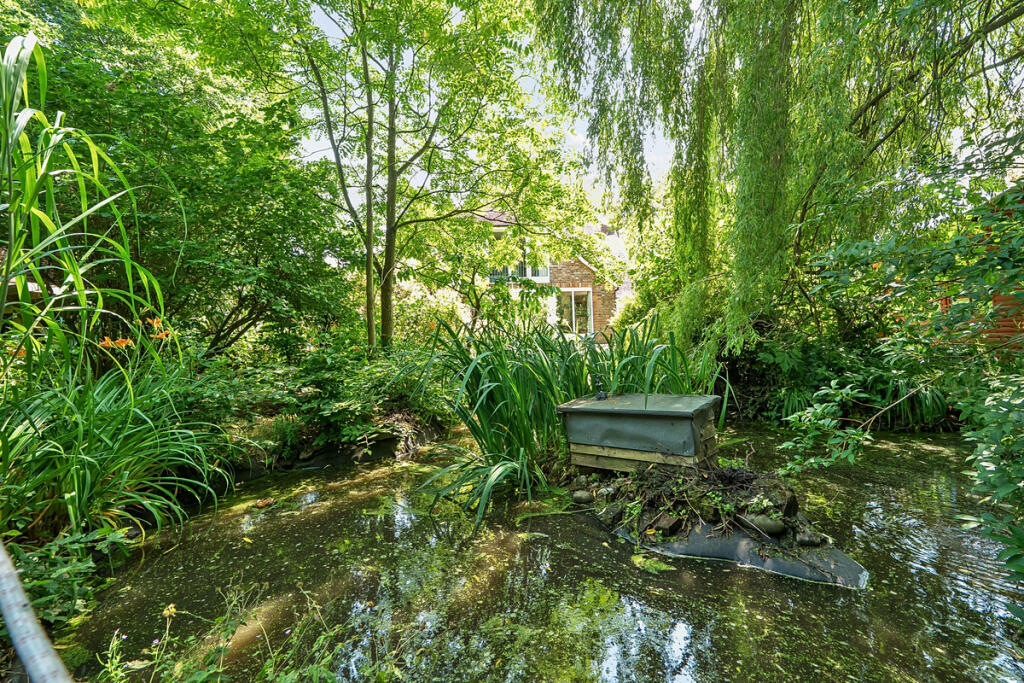 Pond providing habitat to many different species
