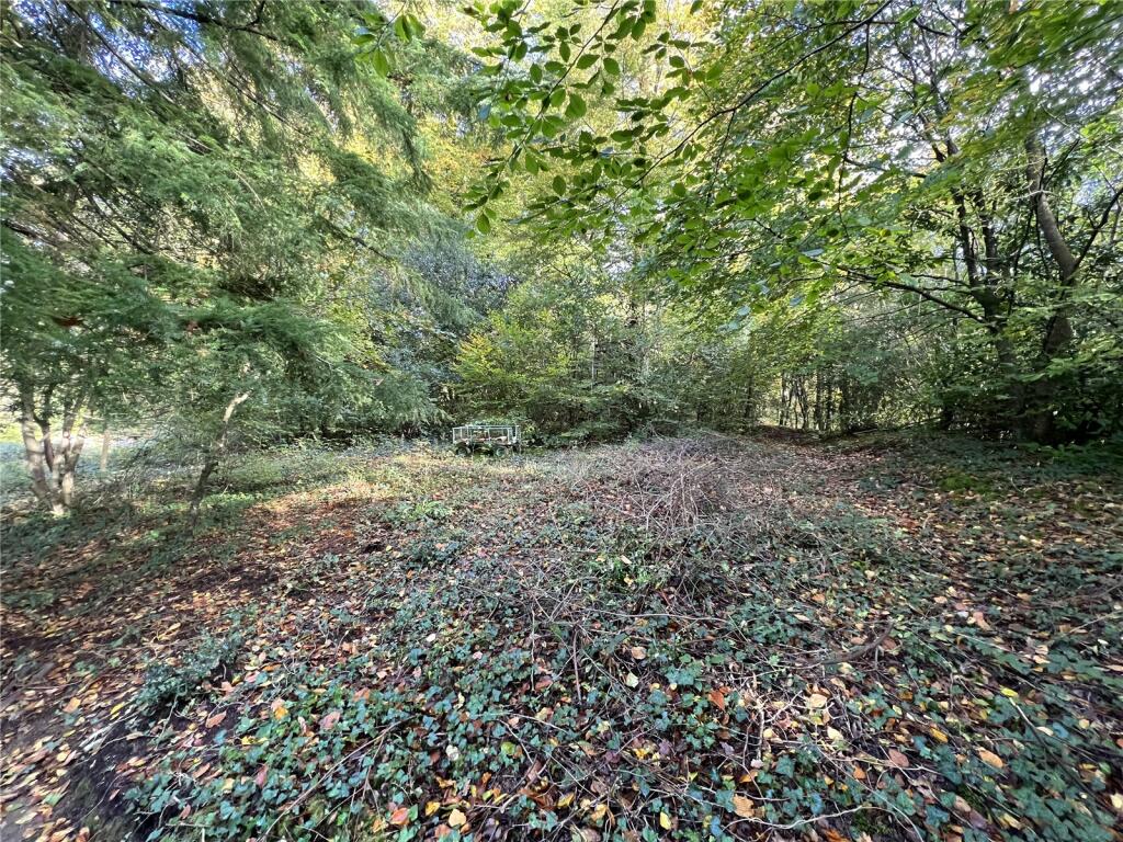 Woodland