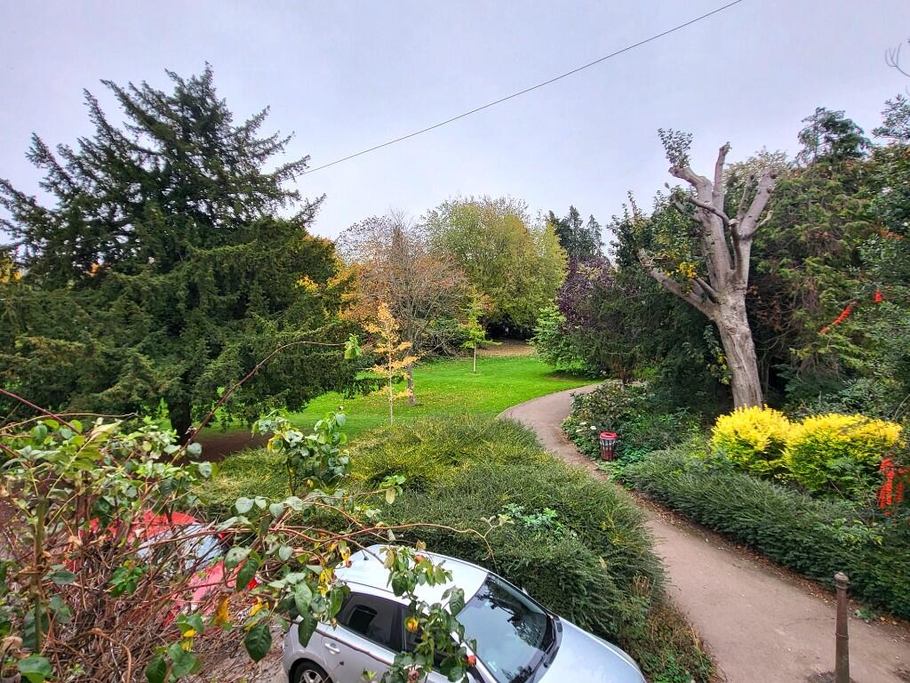 Park Views