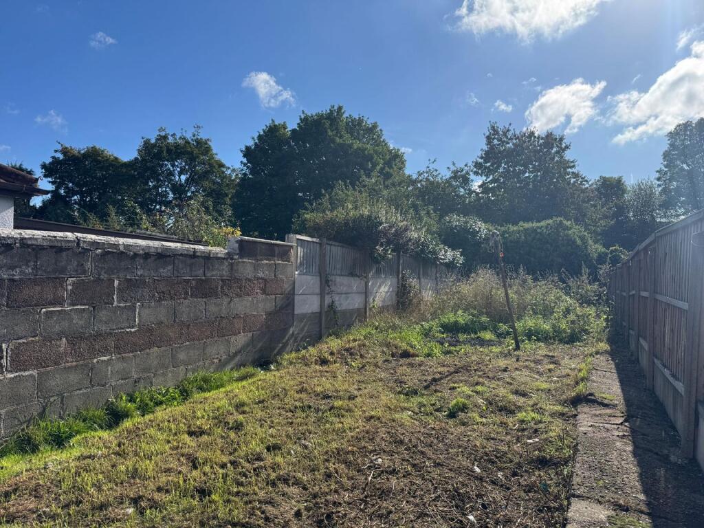 Back Garden
