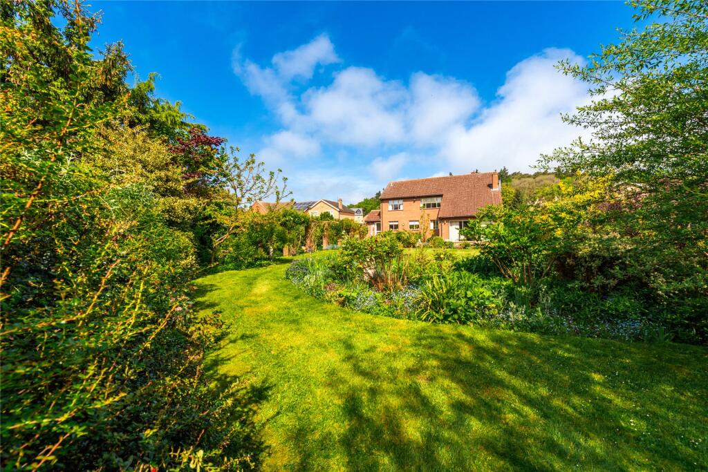 Rear Of Property