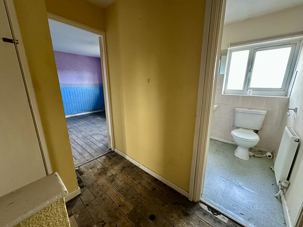 IMG 4323 T202511291223.jpeg