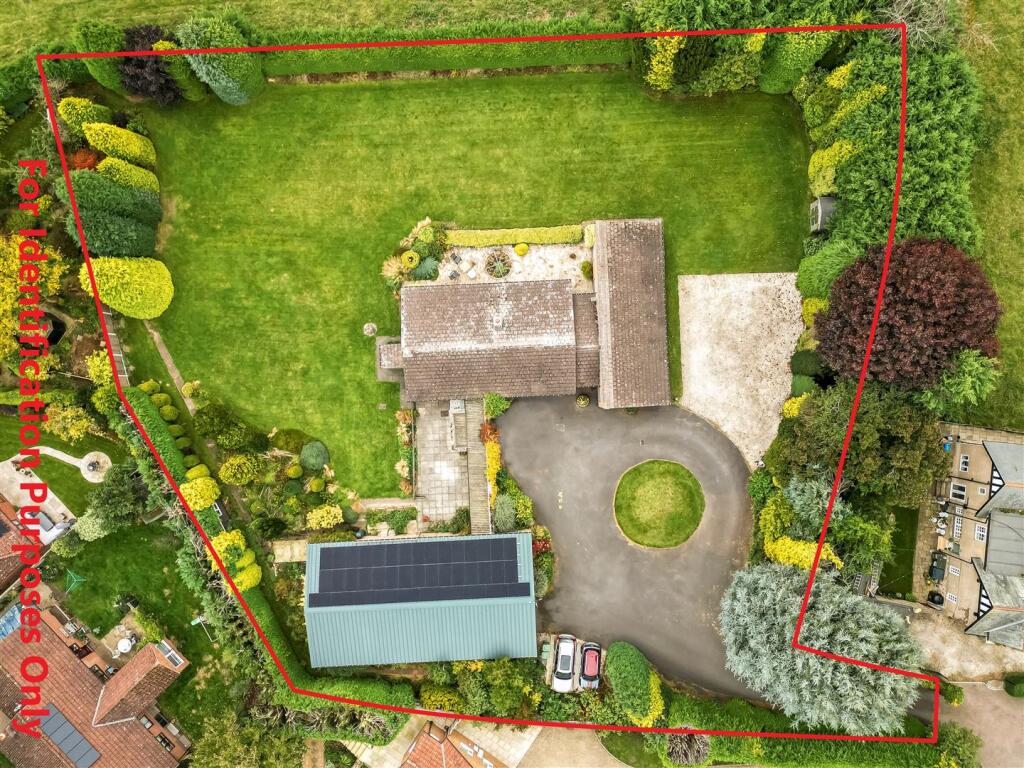 DJI_0762 1.jpg