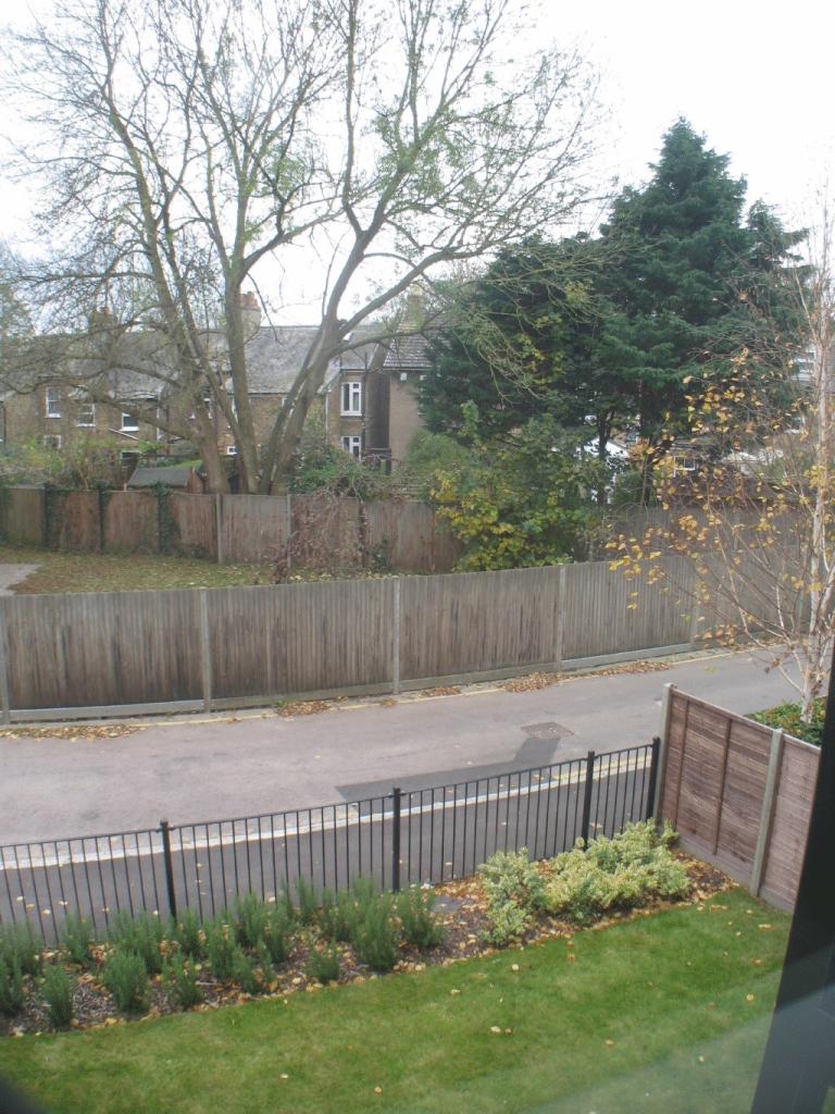 Photo8