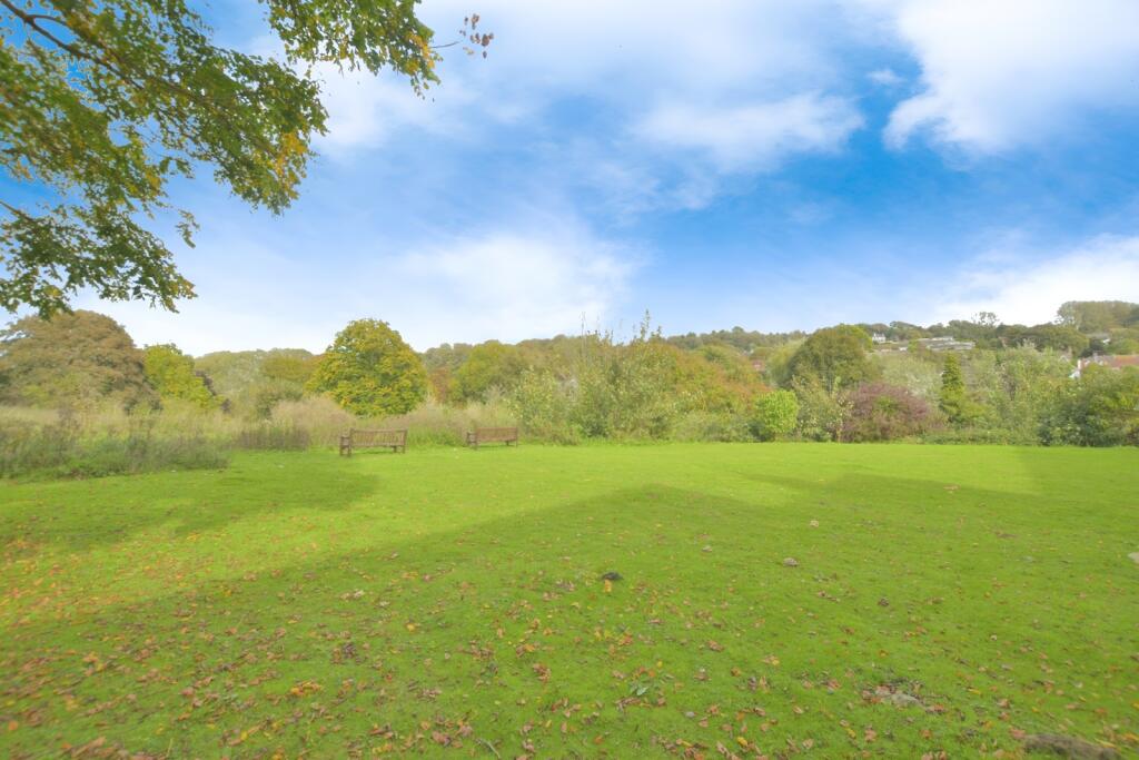 Surrounding Area
