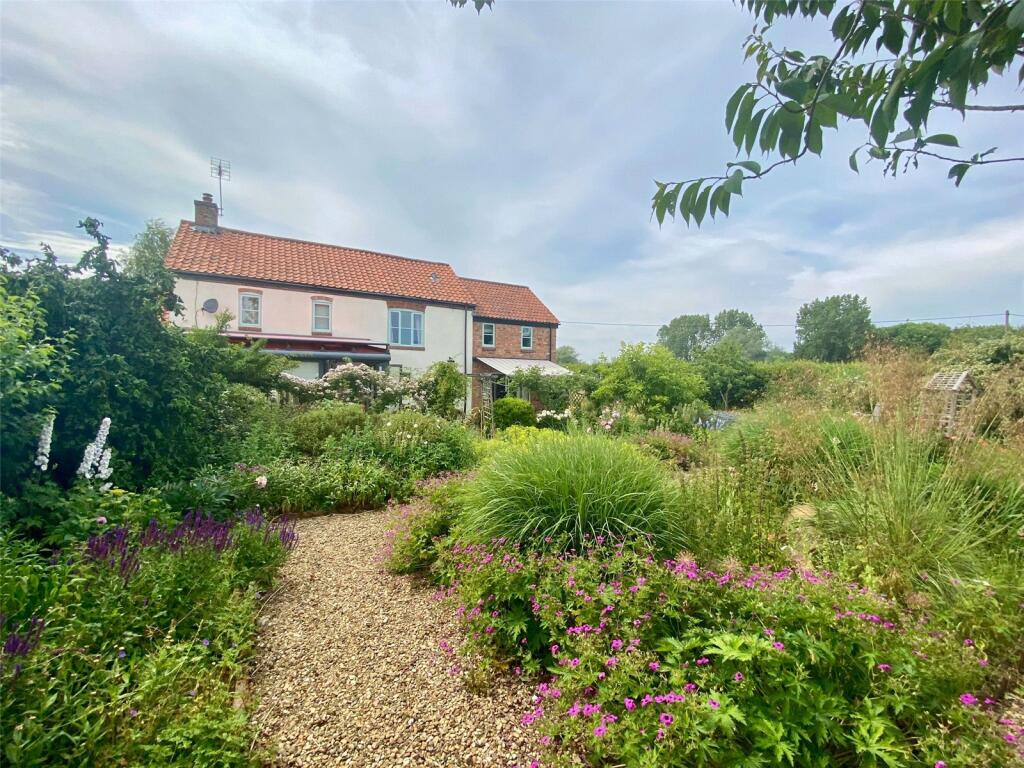 Cottage Garden Fauna