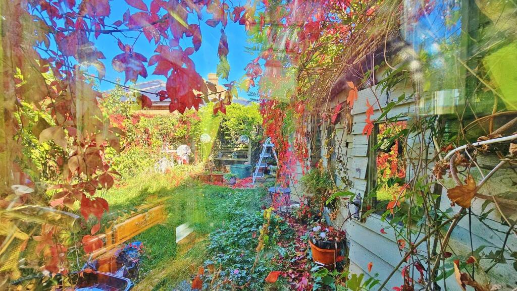 Outside - Rear