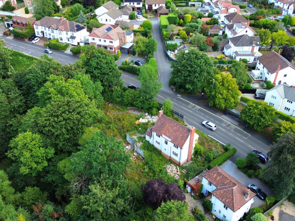 Untitled design (6).png