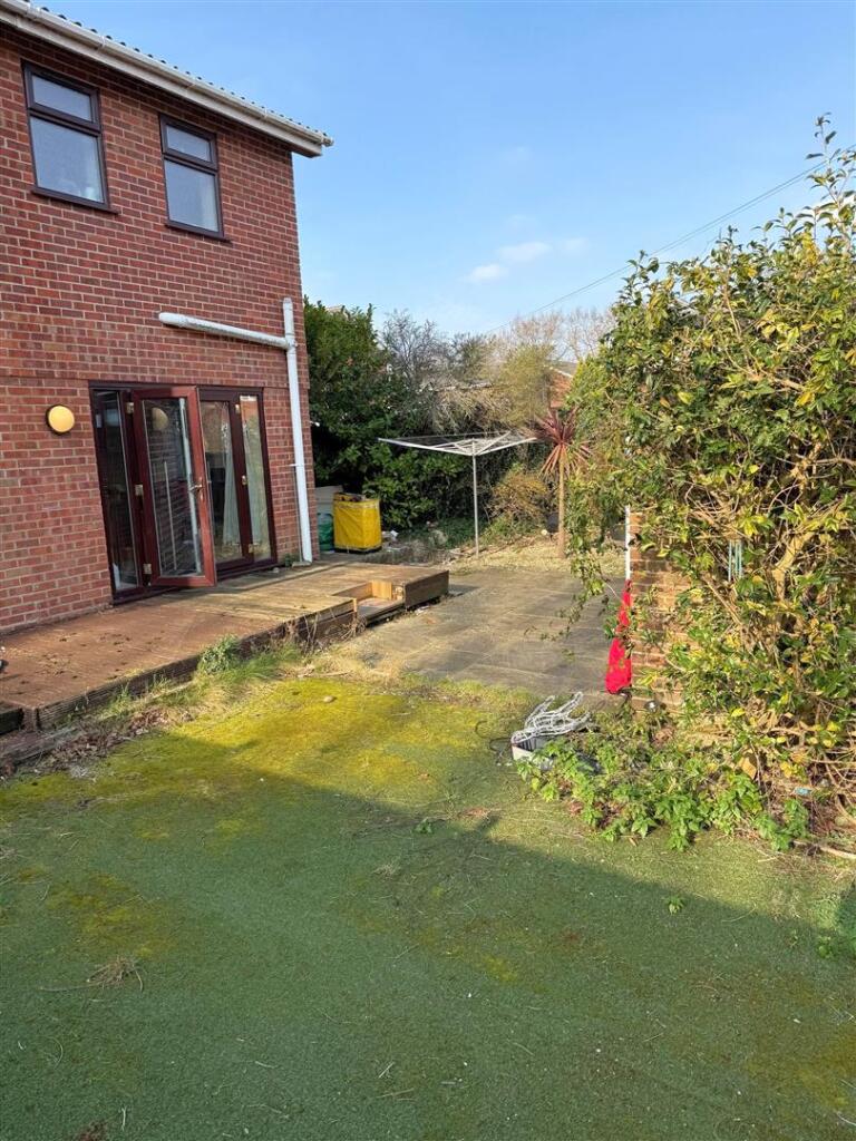 garden.jpg