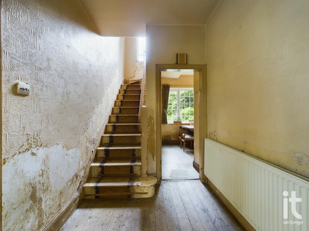 Photograph 4