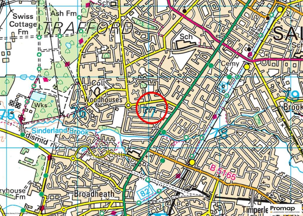Town Plan